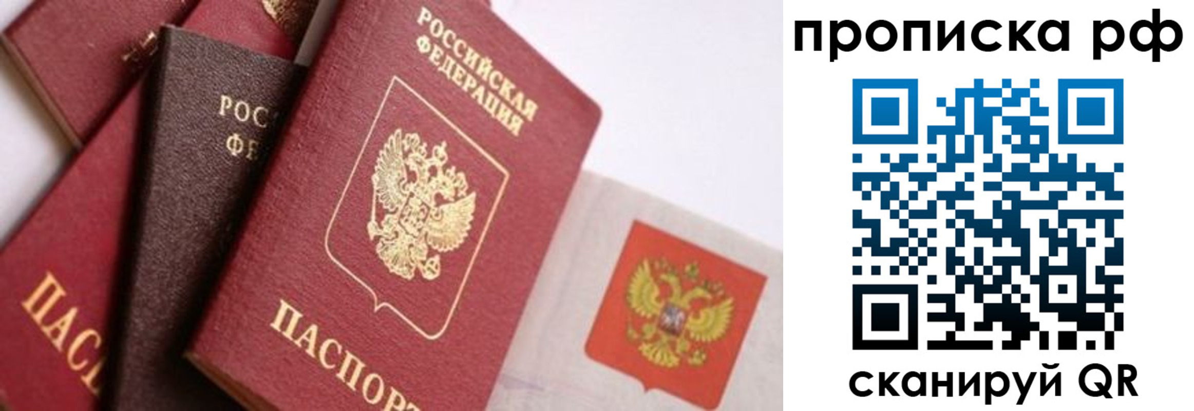 найти адрес прописки в Рославле